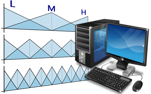 Computing with Words